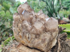 Natural Smokey Phantom Quartz Clusters x 2 From Luena, Congo - Toprock Gemstones and Minerals 