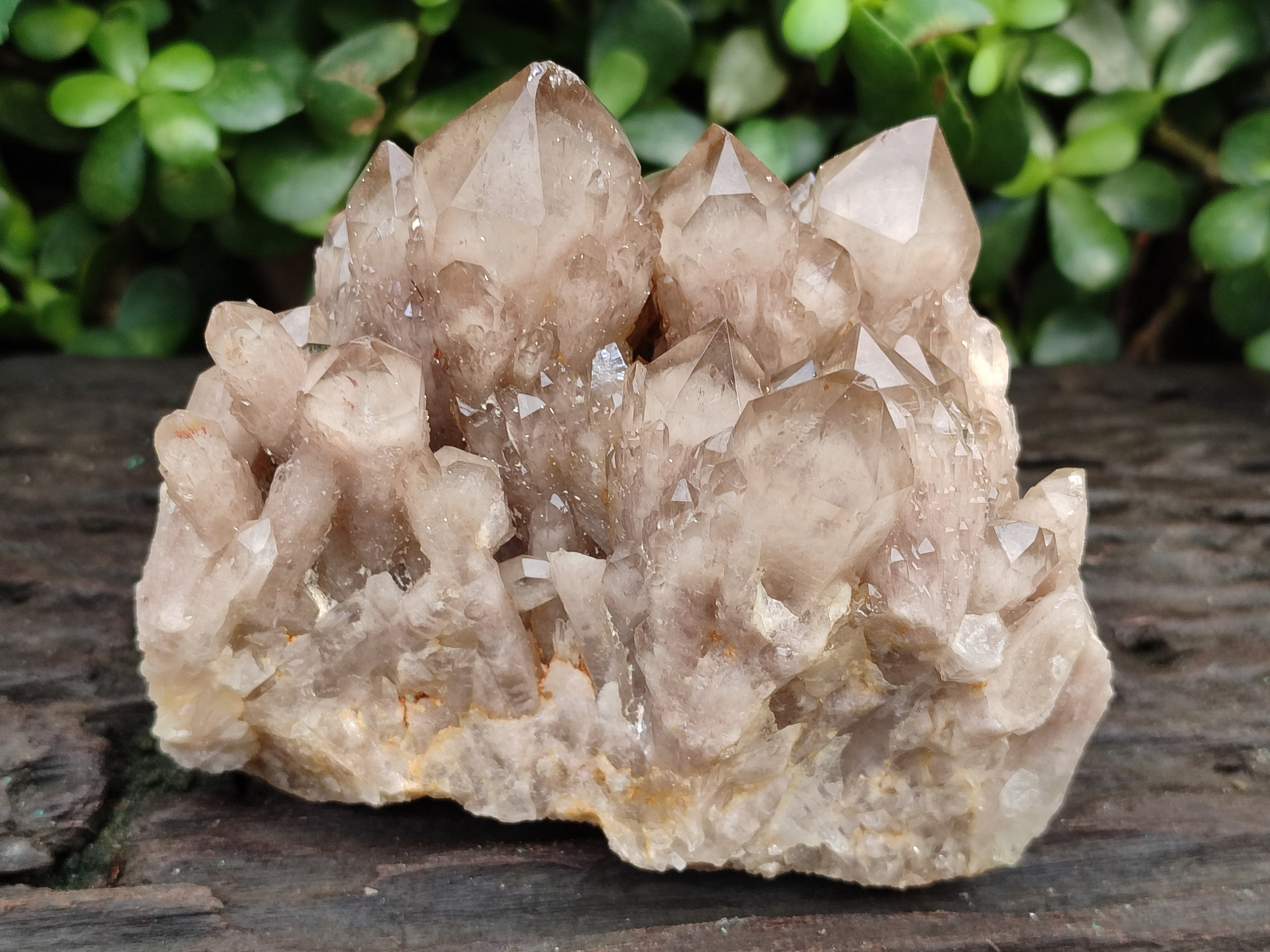 Natural Smokey Phantom Quartz Clusters x 2 From Luena, Congo - Toprock Gemstones and Minerals 