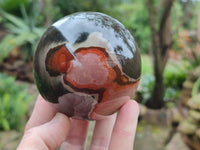 Polished Polychrome Jasper Spheres x 2 From Northwest Coast, Madagascar