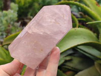 Polished Rose Quartz Crystal Points x 3 From Ambatondrazaka, Madagascar