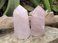Polished Rose Quartz Crystal Points x 3 From Ambatondrazaka, Madagascar