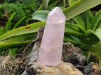 Polished Rose Quartz Crystal Points x 3 From Ambatondrazaka, Madagascar - Toprock Gemstones and Minerals 