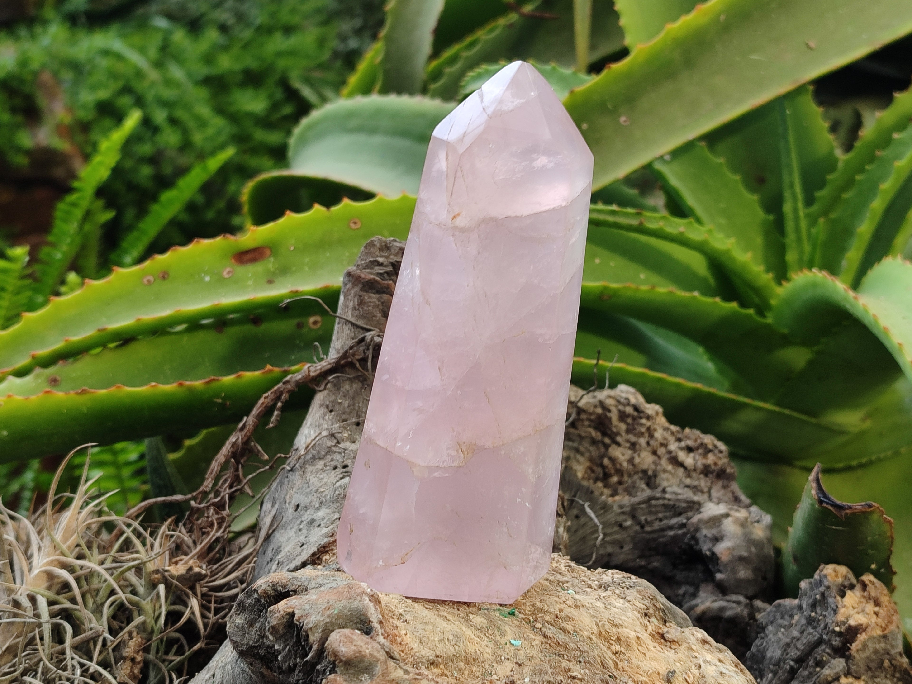 Polished Rose Quartz Crystal Points x 3 From Ambatondrazaka, Madagascar - Toprock Gemstones and Minerals 