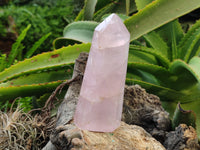Polished Rose Quartz Crystal Points x 3 From Ambatondrazaka, Madagascar