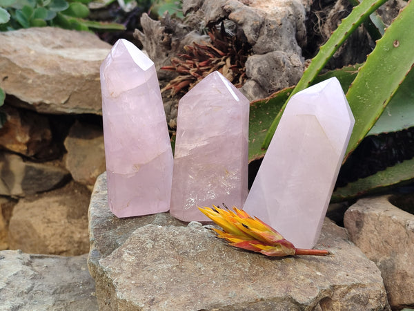 Polished Rose Quartz Crystal Points x 3 From Ambatondrazaka, Madagascar