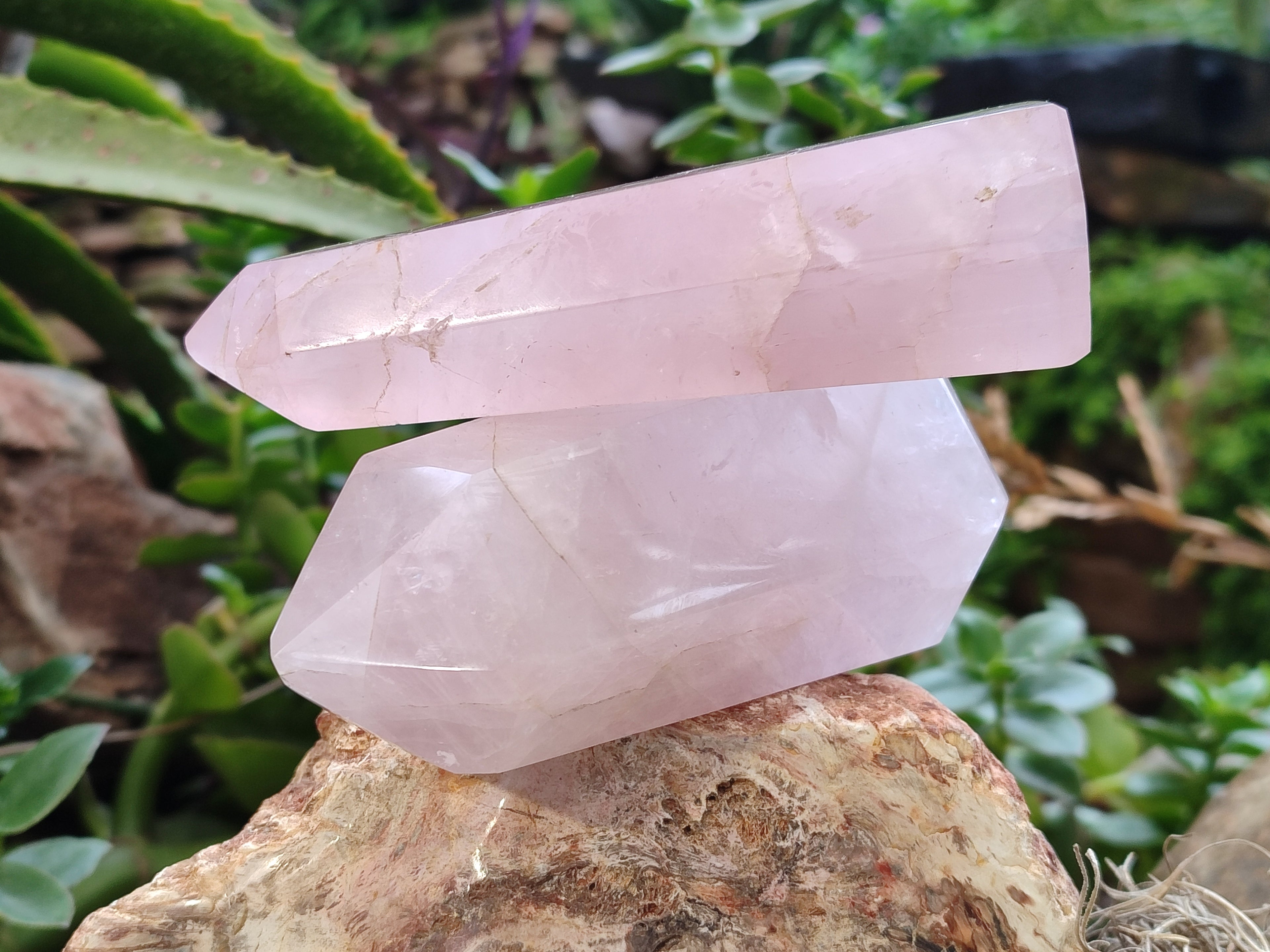 Polished Rose Quartz Crystal Points x 3 From Ambatondrazaka, Madagascar - Toprock Gemstones and Minerals 