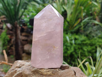 Polished Rose Quartz Crystal Points x 3 From Ambatondrazaka, Madagascar