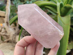 Polished Rose Quartz Crystal Points x 3 From Ambatondrazaka, Madagascar - Toprock Gemstones and Minerals 