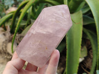 Polished Rose Quartz Crystal Points x 3 From Ambatondrazaka, Madagascar
