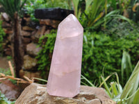 Polished Rose Quartz Crystal Points x 3 From Ambatondrazaka, Madagascar