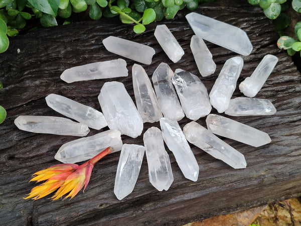 Natural Single Clear Quartz Crystals x 35 From Madagascar