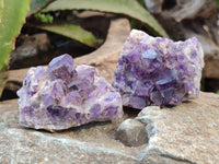 Natural Dark and Chevron Amethyst Clusters x 12 From Mapatizya, Zambia