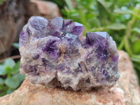 Natural Dark and Chevron Amethyst Clusters x 12 From Mapatizya, Zambia