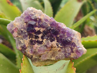 Natural Dark and Chevron Amethyst Clusters x 12 From Mapatizya, Zambia