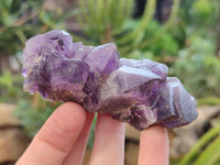 Natural Dark and Chevron Amethyst Clusters x 12 From Mapatizya, Zambia