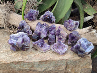 Natural Dark and Chevron Amethyst Clusters x 12 From Mapatizya, Zambia
