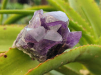 Natural Dark and Chevron Amethyst Clusters x 12 From Mapatizya, Zambia