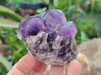 Natural Dark and Chevron Amethyst Clusters x 12 From Mapatizya, Zambia