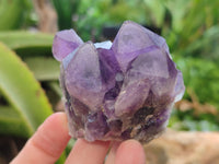 Natural Dark and Chevron Amethyst Clusters x 12 From Mapatizya, Zambia