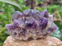 Natural Dark and Chevron Amethyst Clusters x 12 From Mapatizya, Zambia