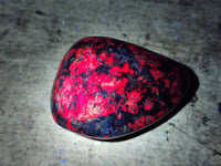 Polished Ruby Corundum In Chrome Verdite Free Forms x 6 From Zimbabwe - Toprock Gemstones and Minerals 