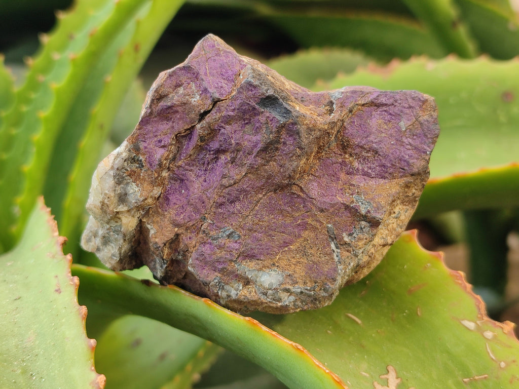 Natural Metallic Purpurite Cobbed Specimens x 6 From Erongo, Namibia - Toprock Gemstones and Minerals 