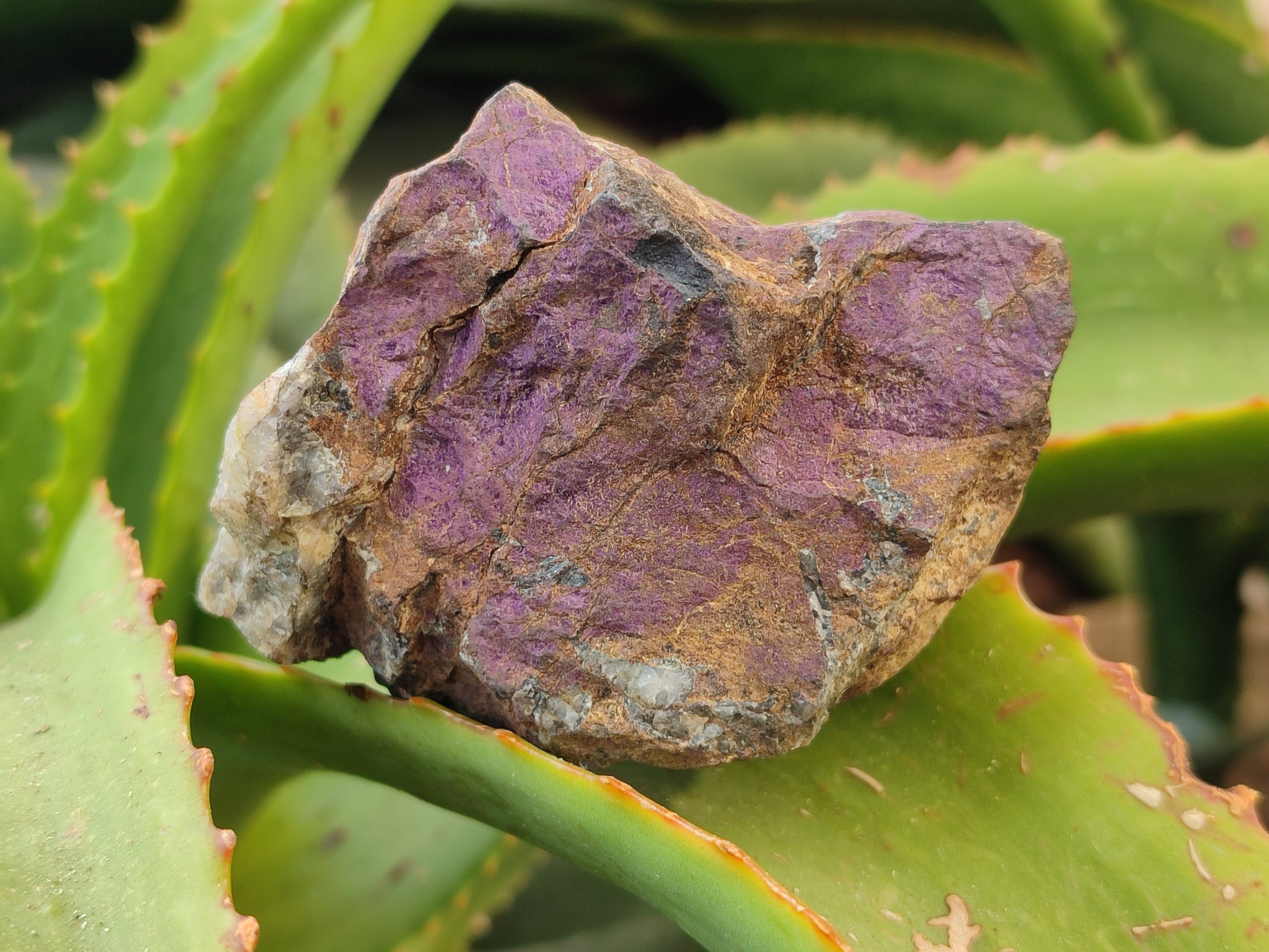 Natural Metallic Purpurite Cobbed Specimens x 6 From Erongo, Namibia - Toprock Gemstones and Minerals 