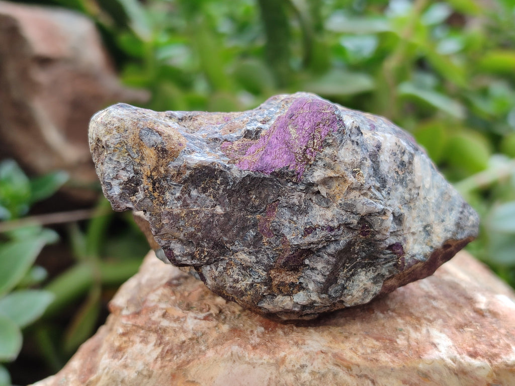 Natural Metallic Purpurite Cobbed Specimens x 6 From Erongo, Namibia - Toprock Gemstones and Minerals 