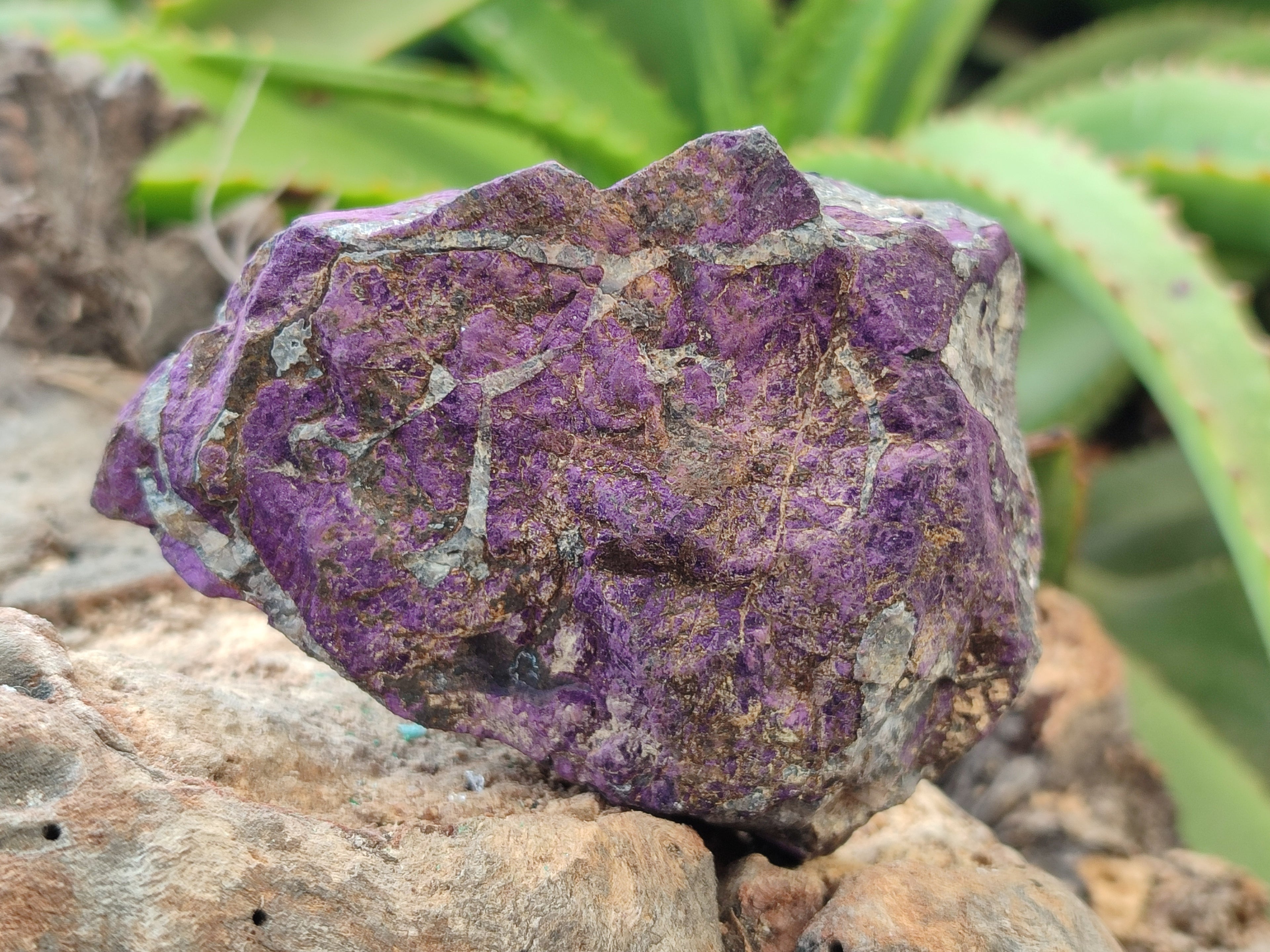 Natural Metallic Purpurite Cobbed Specimens x 6 From Erongo, Namibia - Toprock Gemstones and Minerals 