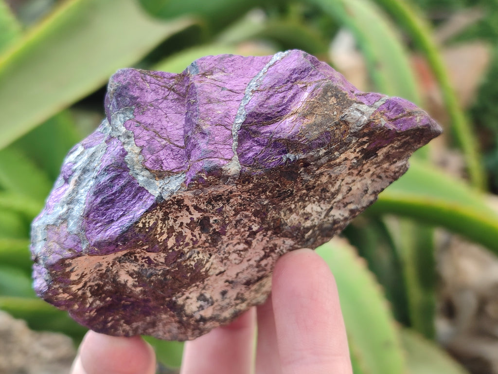 Natural Metallic Purpurite Cobbed Specimens x 6 From Erongo, Namibia - Toprock Gemstones and Minerals 