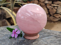 Polished Gemmy Rose Quartz Sphere x 1 From Ambatondrazaka, Madagascar