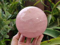 Polished Gemmy Rose Quartz Sphere x 1 From Ambatondrazaka, Madagascar
