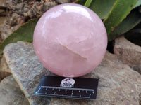 Polished Gemmy Rose Quartz Sphere x 1 From Ambatondrazaka, Madagascar