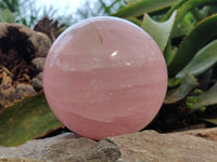 Polished Gemmy Rose Quartz Sphere x 1 From Ambatondrazaka, Madagascar