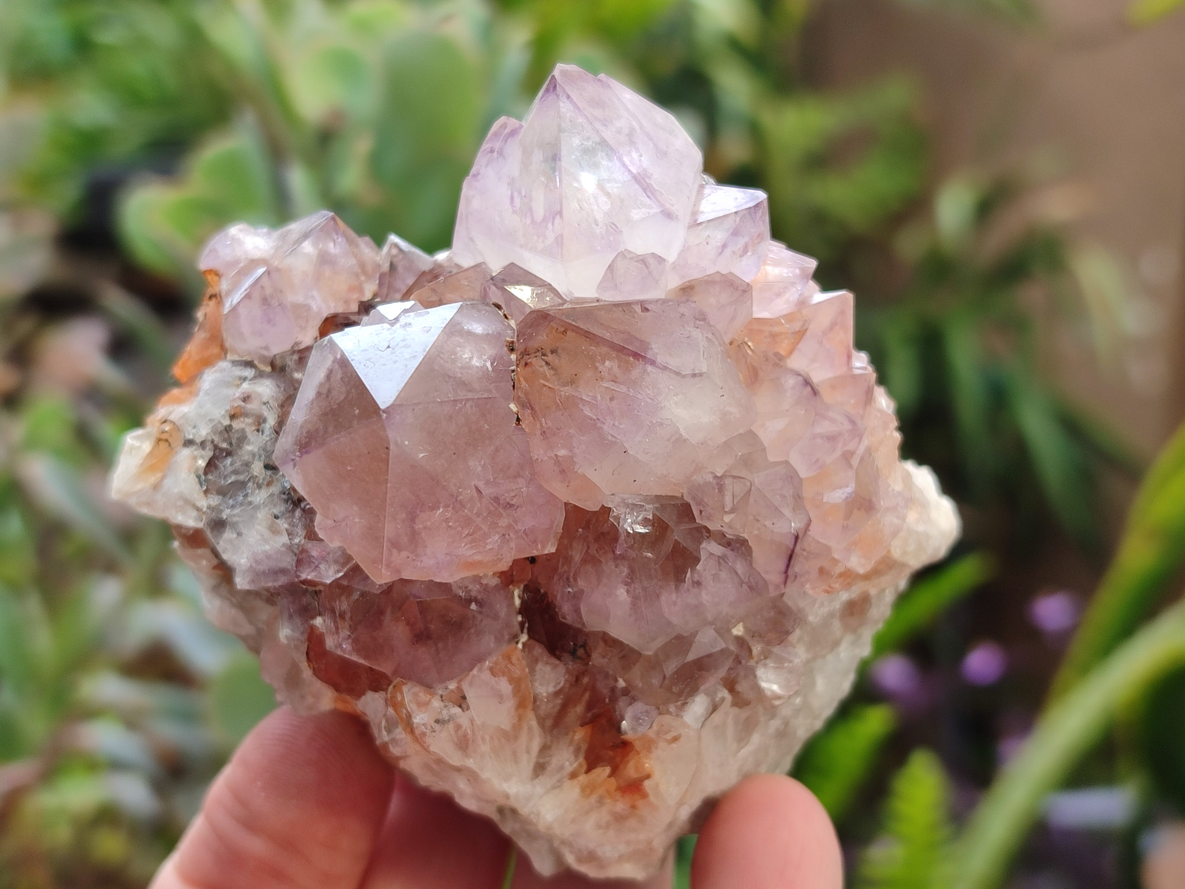 Natural Dark Amethyst Spirit Quartz Clusters x 6 From Boekenhouthoek, South Africa - Toprock Gemstones and Minerals 