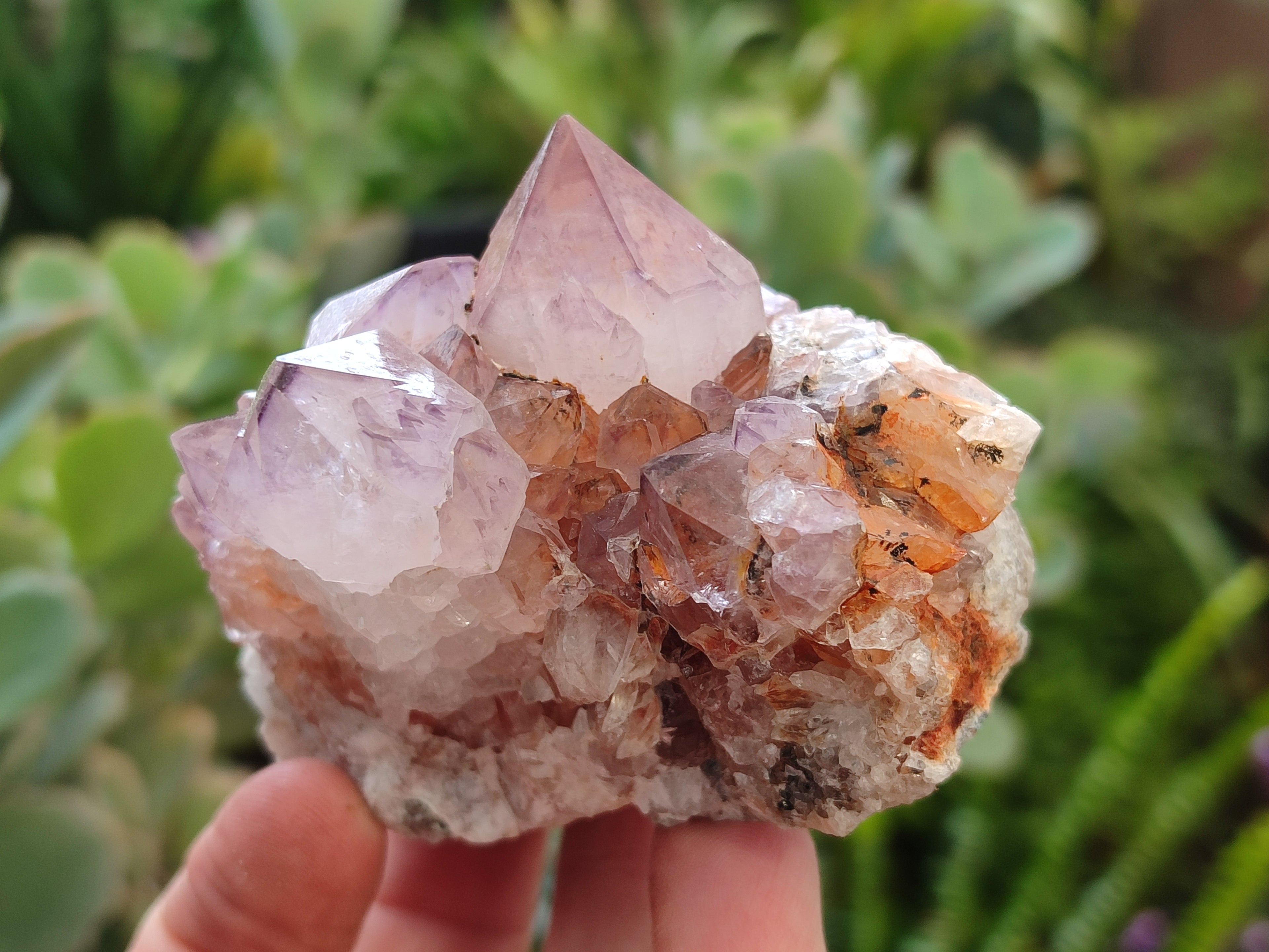 Natural Dark Amethyst Spirit Quartz Clusters x 6 From Boekenhouthoek, South Africa - Toprock Gemstones and Minerals 