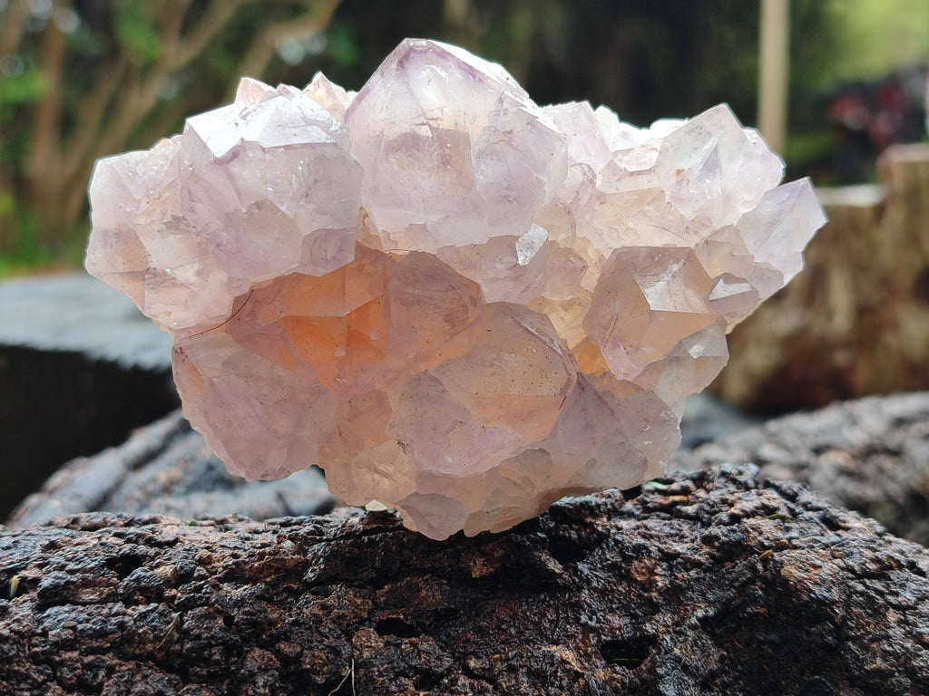 Natural Dark Amethyst Spirit Quartz Clusters x 6 From Boekenhouthoek, South Africa - Toprock Gemstones and Minerals 