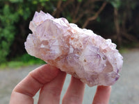 Natural Dark Amethyst Spirit Quartz Clusters x 6 From Boekenhouthoek, South Africa - Toprock Gemstones and Minerals 