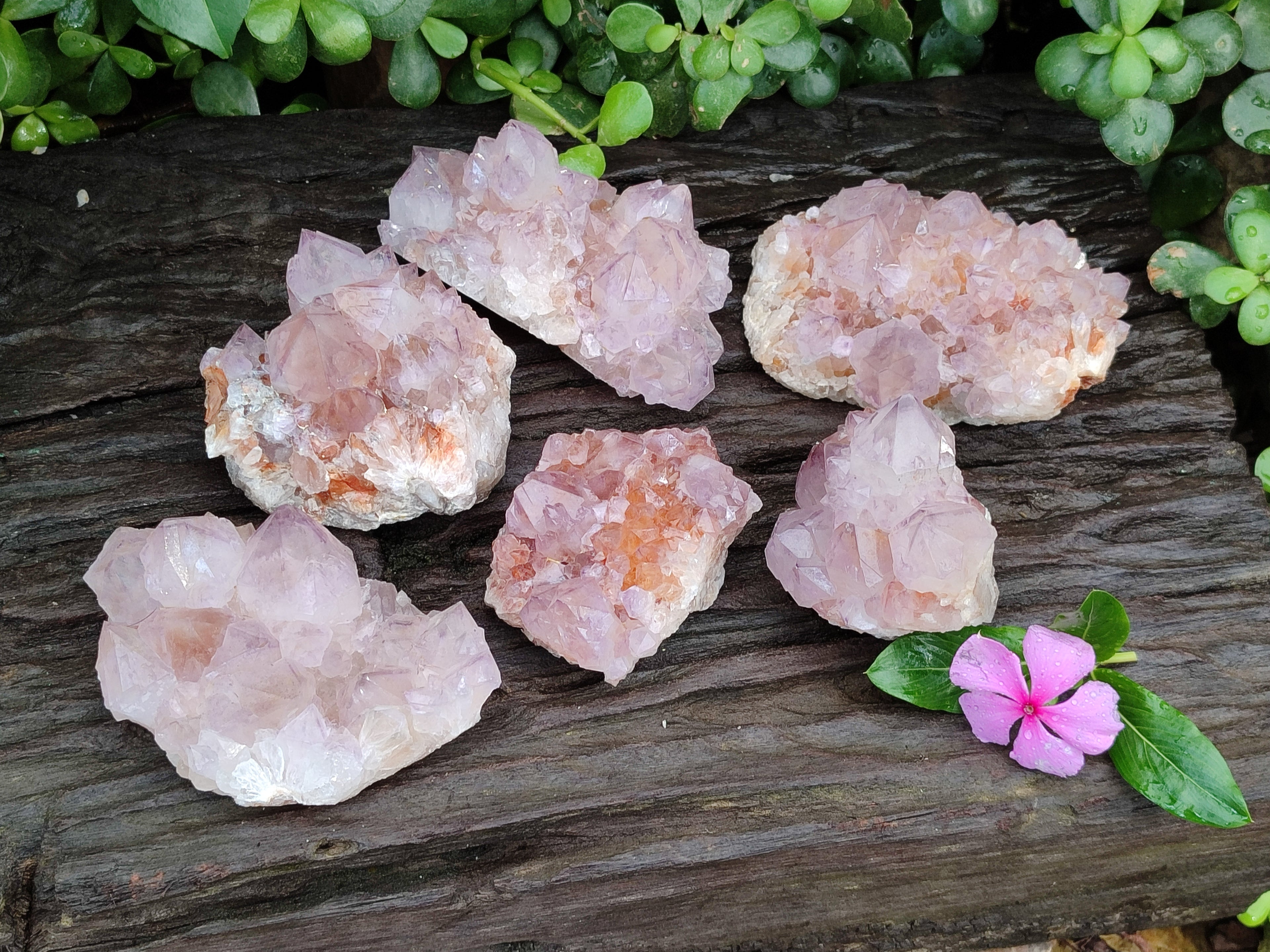 Natural Dark Amethyst Spirit Quartz Clusters x 6 From Boekenhouthoek, South Africa - Toprock Gemstones and Minerals 