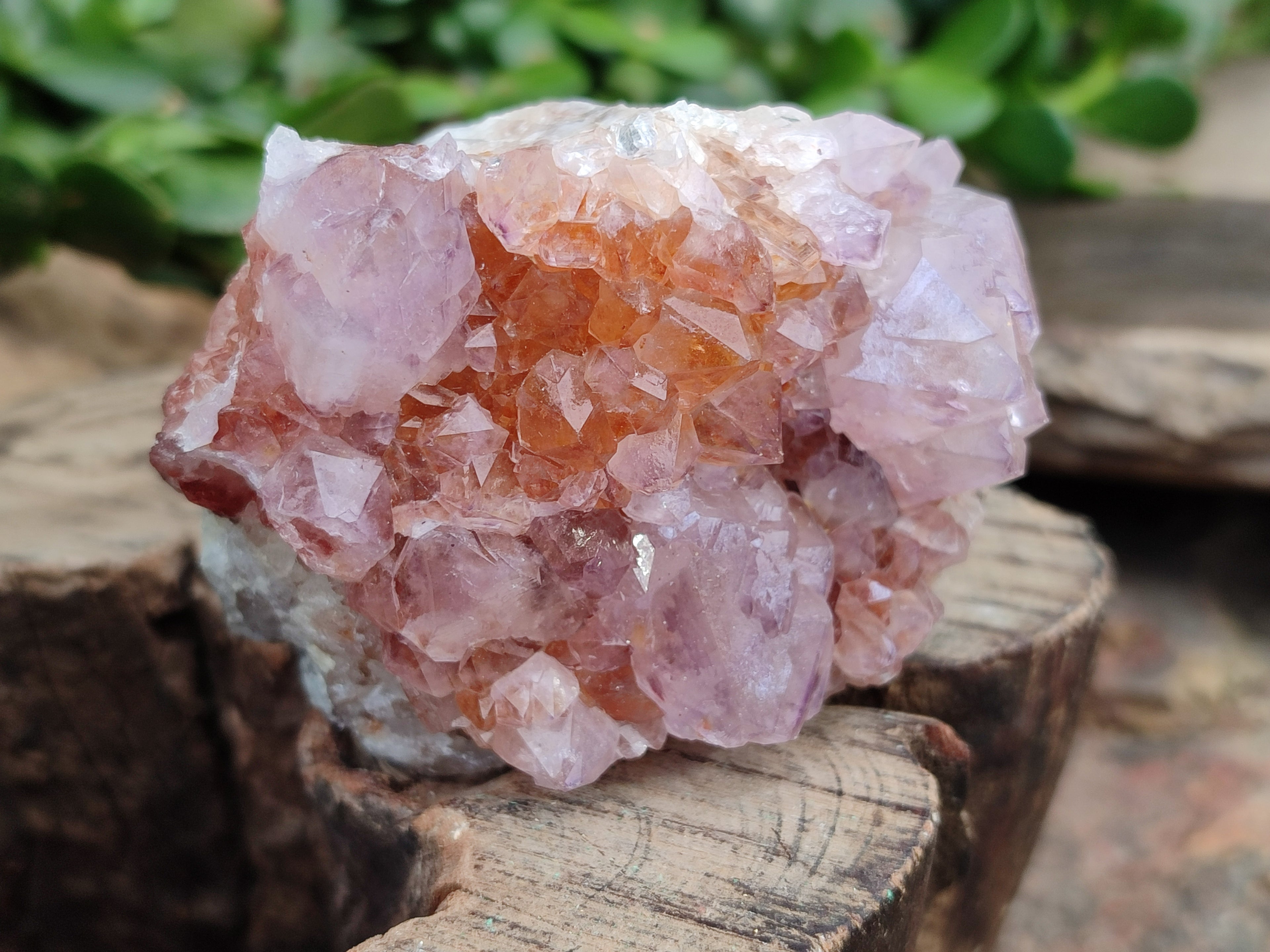 Natural Dark Amethyst Spirit Quartz Clusters x 6 From Boekenhouthoek, South Africa - Toprock Gemstones and Minerals 