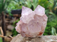 Natural Dark Amethyst Spirit Quartz Clusters x 6 From Boekenhouthoek, South Africa - Toprock Gemstones and Minerals 