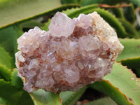 Natural Dark Amethyst Spirit Quartz Clusters x 6 From Boekenhouthoek, South Africa - Toprock Gemstones and Minerals 