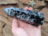 Polished Gabbro Merlinite Points x 2 From Ambatofinandrahana, Madagascar