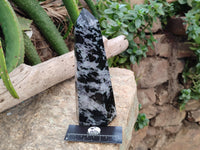 Polished Gabbro Merlinite Points x 2 From Ambatofinandrahana, Madagascar