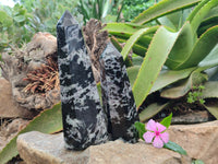 Polished Gabbro Merlinite Points x 2 From Ambatofinandrahana, Madagascar