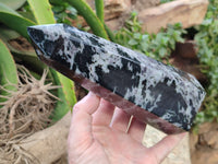 Polished Gabbro Merlinite Points x 2 From Ambatofinandrahana, Madagascar