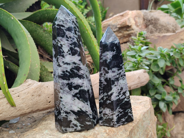 Polished Gabbro Merlinite Points x 2 From Ambatofinandrahana, Madagascar