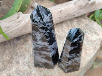 Polished Gabbro Merlinite Points x 2 From Ambatofinandrahana, Madagascar