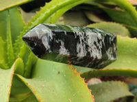 Polished Gabbro Merlinite Points x 2 From Ambatofinandrahana, Madagascar