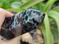 Polished Gabbro Merlinite Points x 2 From Ambatofinandrahana, Madagascar